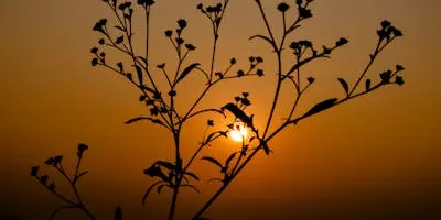 Employment law and industrial relations lawyer JB